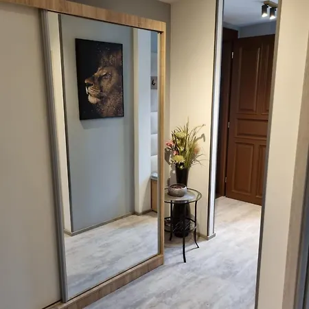 Vltava Design *