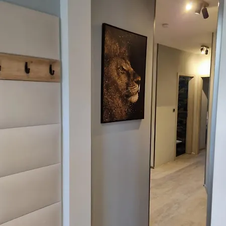 Vltava Design *