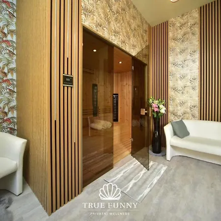 Apartment Vltava Design Prag