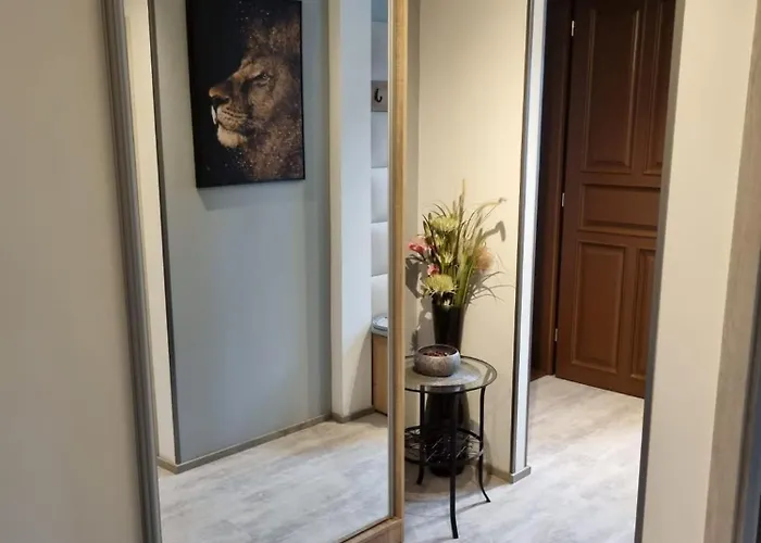 Vltava Design *